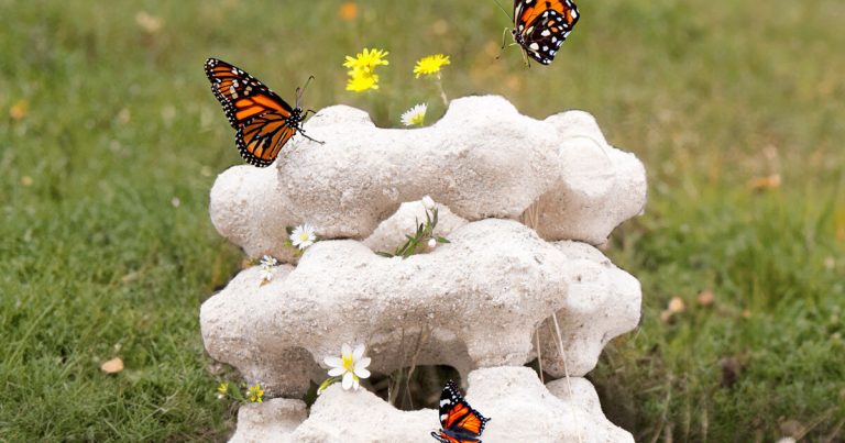 Biodegradable modular nest in egg shells entice butterflies in metropolis facilities