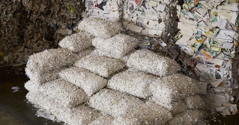 The mushy subject of ex Determine replaces paper waste in pillow furnishings