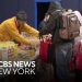 Salvation Military provides out Easter meals baskets in Harlem – CBS Information