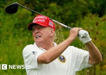 Trump in wonderful well being, says White Home physician