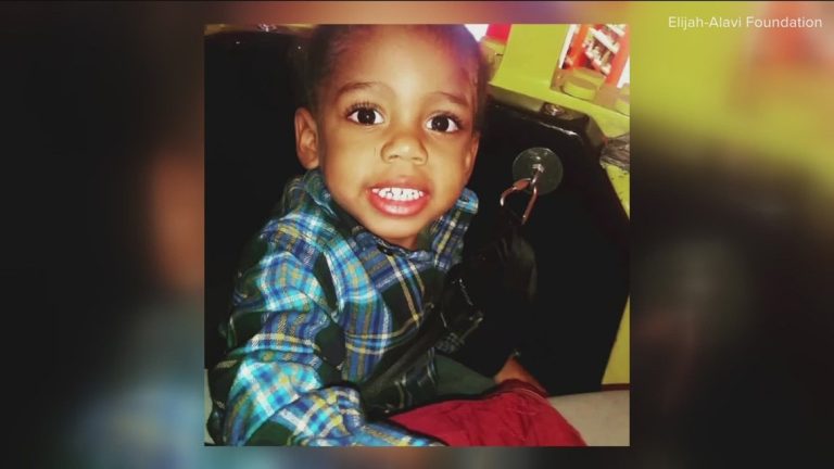 Newest Information | Arkansas adopts legislation that protects children with meals allergic reactions
