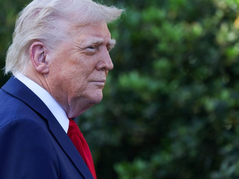 Donald Trump turns into fashionable with recognition and assaults the surveys: “You’re pretend information”