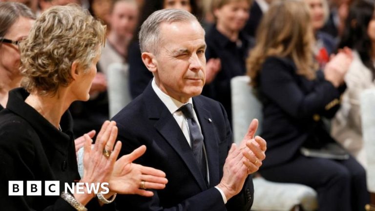 Who’s Mark Carney, Canada’s liberal information?