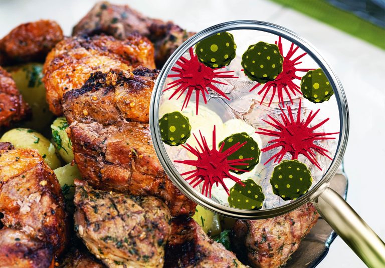 Meals poisoning triggers everlasting modifications within the mind
