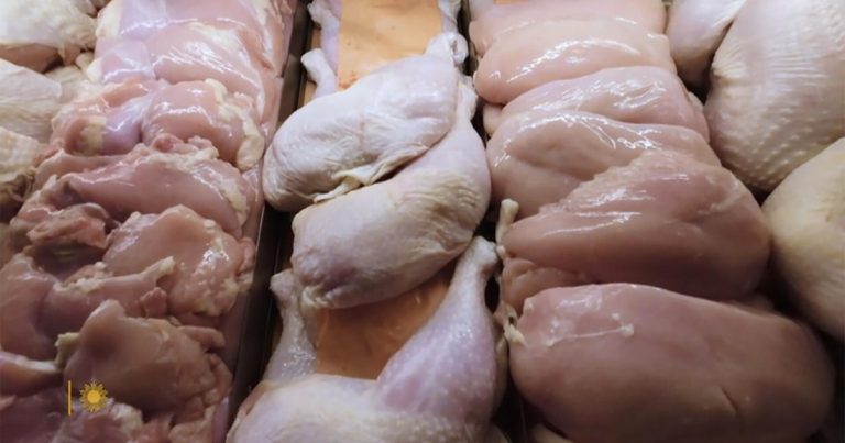 Sustaining the protection of our meals