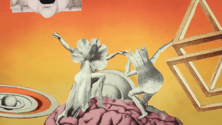 A Bizarren animated music video for Foxwarren forces us to pay attention – Colossal