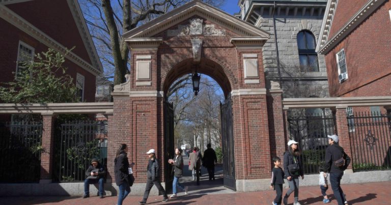 No one to ban Harvard Worldwide college students if Trump’s calls for are usually not met – Mom Jones