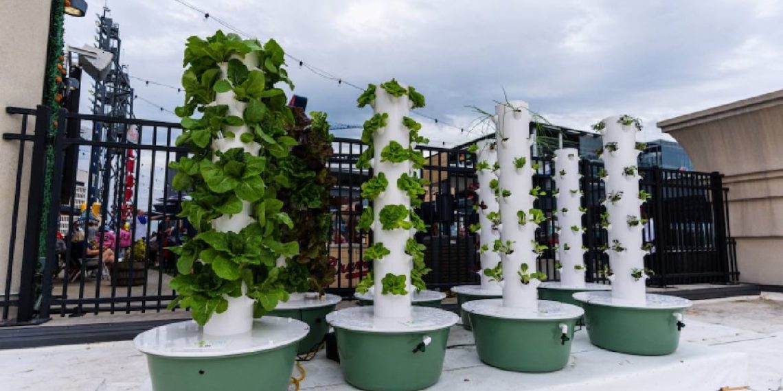 Truist Park provides backyard towers to develop produce for choose ballpark meals gadgets – WSB-TV Channel 2