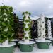 Truist Park provides backyard towers to develop produce for choose ballpark meals gadgets – WSB-TV Channel 2