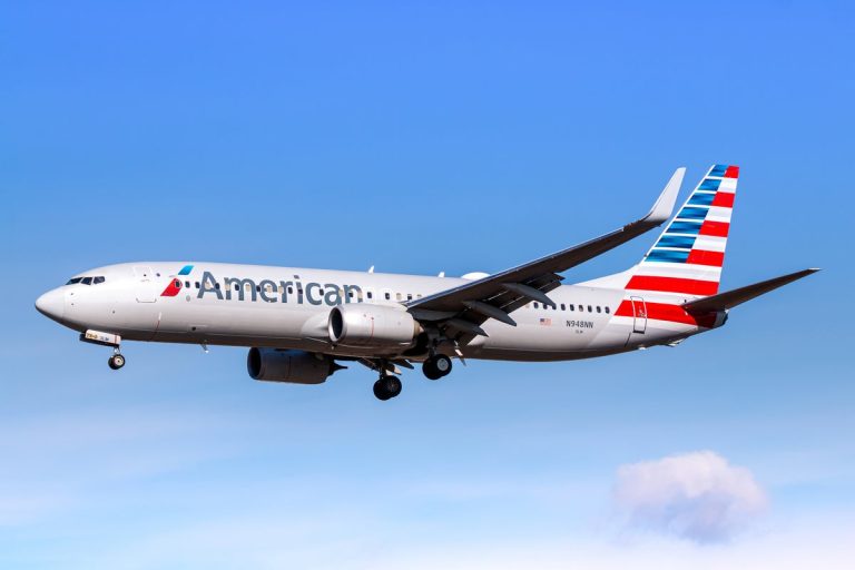 American Airways passenger ‘barged into cockpit’ as a result of his meal alternative wasn’t obtainable