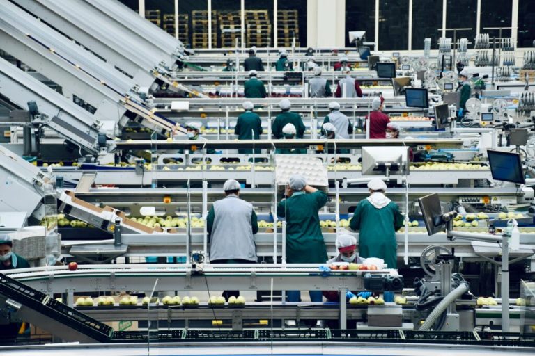 Explaining E. coli Micro organism and the Hazard Sure Serotypes Pose in Meals Manufacturing and Distribution