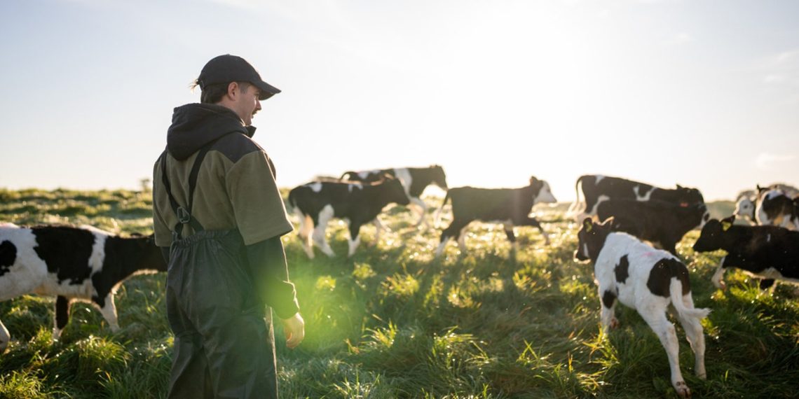 Farmers First Agenda goals to ship wholesome meals and decrease prices