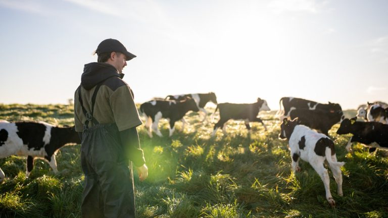 Farmers First Agenda goals to ship wholesome meals and decrease prices