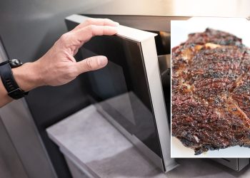 Man who cooked uncooked steak in microwave is now banned, sparks Reddit debate