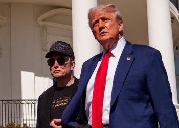 Decide will most likely discover Elon Musk and Doges’ Closing of USAID unconstitutional