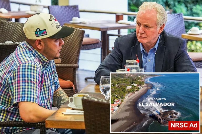 Senate GOP group invitations Democrats to take ‘one-way’ journey to El Salvador in mock journey advert 