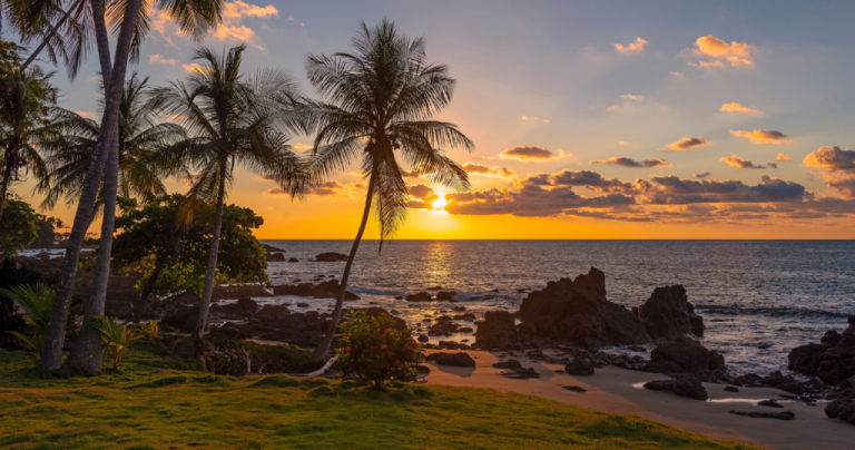 I stop my job to dwell in Costa Rica—here is what journey influencers will not admit about paradise