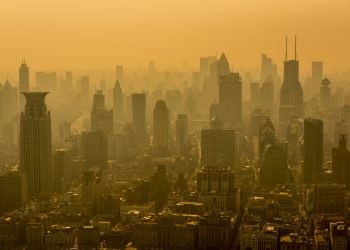 Transparency within the authorities is nice for world well being