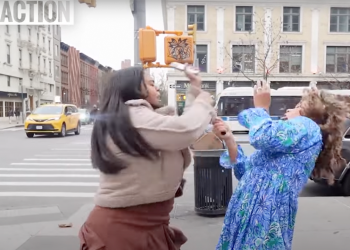 Professional-life journalist assaulted throughout interview with NYC residents