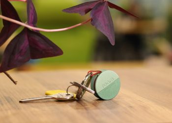 Roam Good Tracker has a enjoyable, ecological development