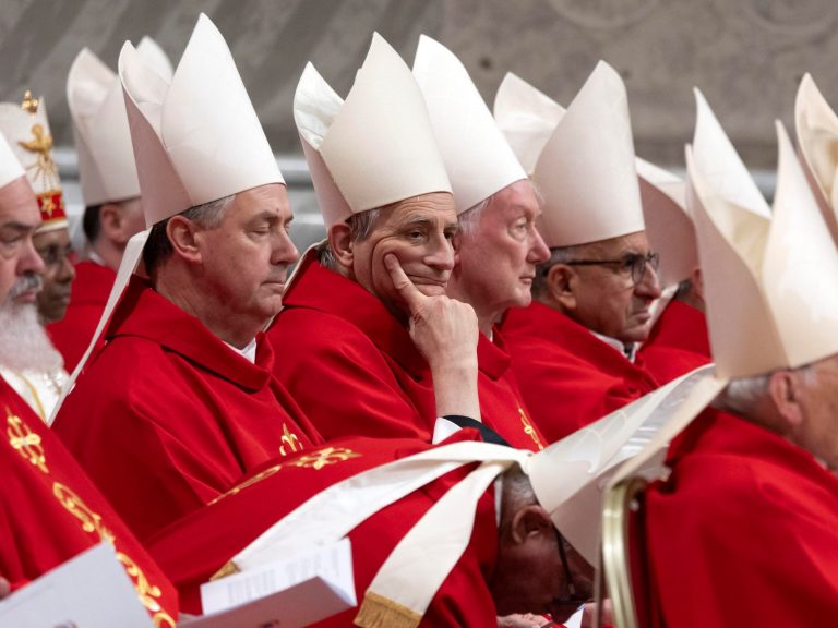 “You can not return”, the overwhelming message of a cardinal in entrance of a conclave that guarantees to be expressly after the dying of Pope Francis