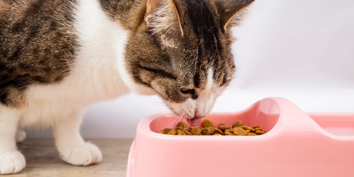 Cat meals distributed in Wyoming has been recalled resulting from chicken flu contaminiation