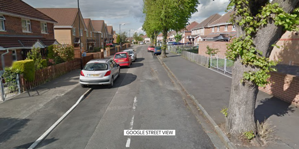 Lady suffers doubtlessly life-changing accidents in suspected XL bully assault | UK Information