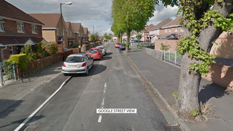 Lady suffers doubtlessly life-changing accidents in suspected XL bully assault | UK Information