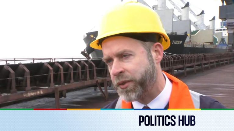 Final coverage: Reynolds once more lists within the declare that he wouldn’t ‘convey a Chinese language firm to the metal sector’ | Political information
