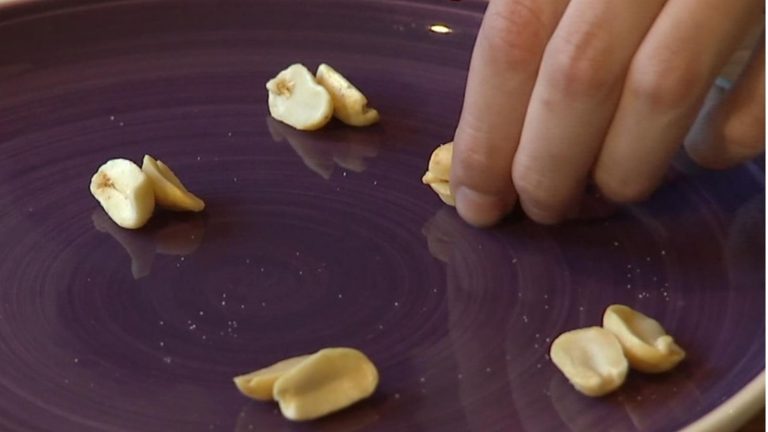Man with life-threatening peanut allergy now eats them every single day thanks to check | Science, Local weather & Tech Information