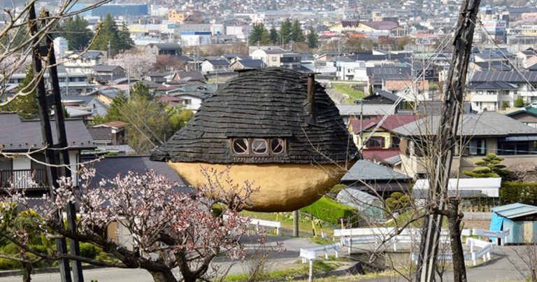Marco Capitanio surprises Terunobu Fujimori’s tea homes from Japan