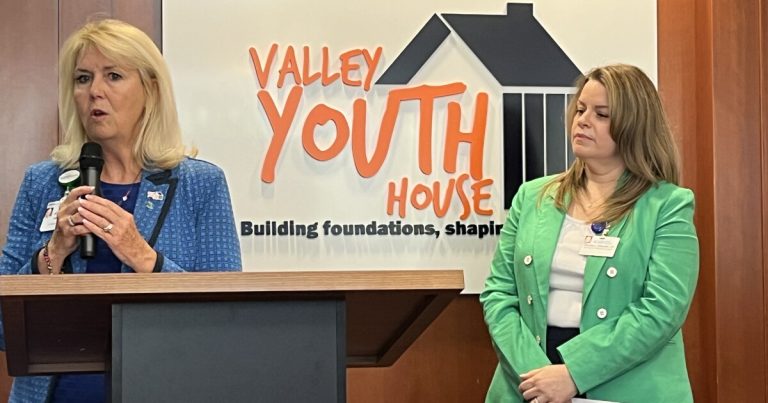 ‘Damning of what we’re:’ Proposed funds cuts endanger youth psychological well being, officers say