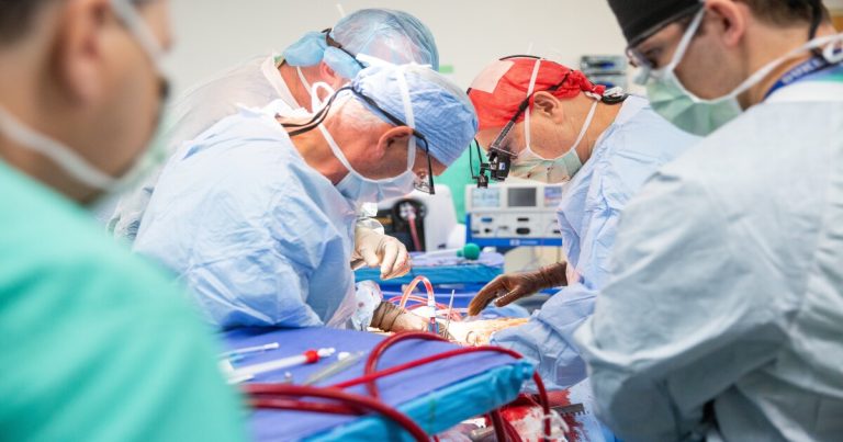 The physique’s paradox: When giving heals and preventing hurts – WJCT Information 89.9