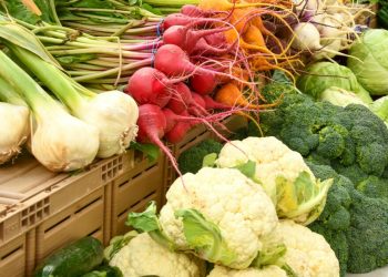 Perspective: Farmers, meals insecurity, and chainsaws