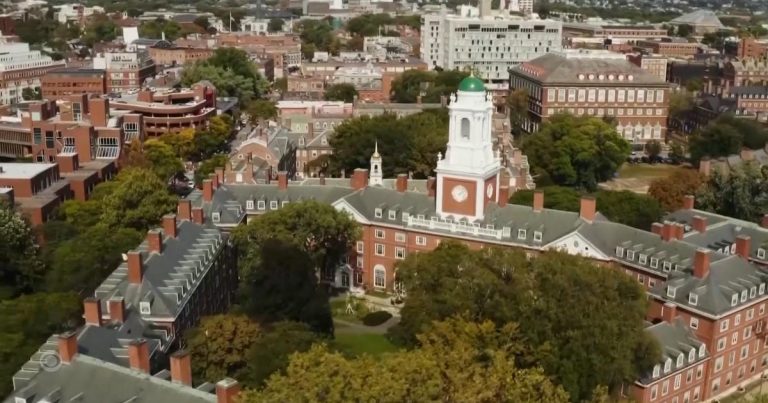 Trump defends the transfer to dam worldwide college students earlier than Harvard’s occupation