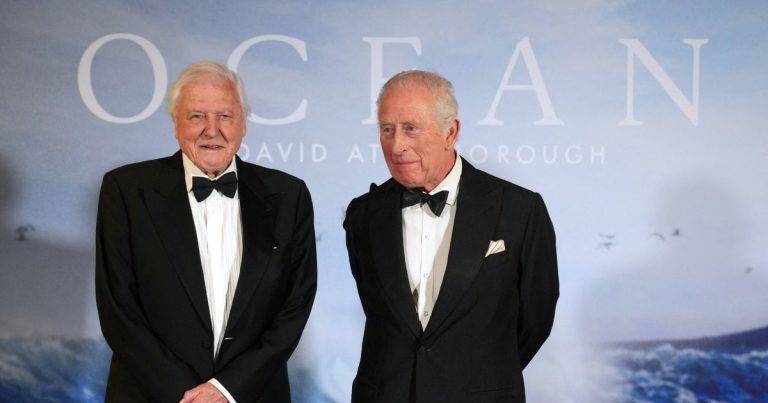 Attenborough movie on ocean’s resilience attracts King Charles to premiere, Leisure Information