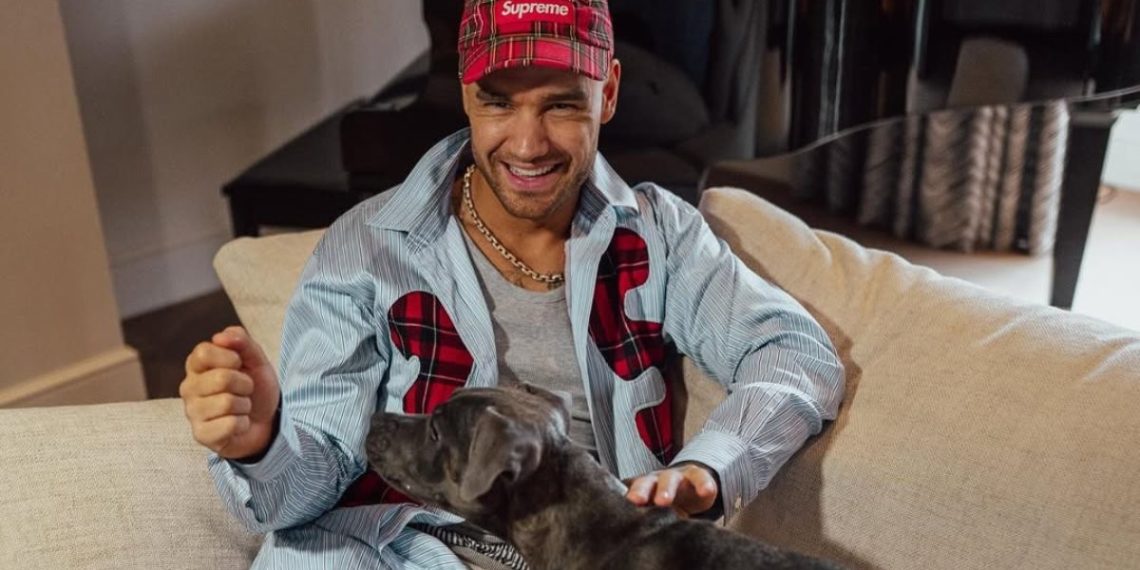 Liam Payne left behind fortune with out making a will , Leisure Information