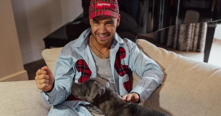 Liam Payne left behind fortune with out making a will , Leisure Information
