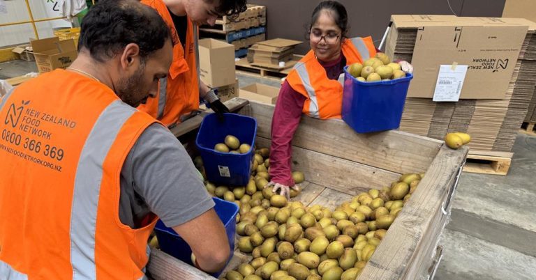 NZFN groups up with kiwifruit business to sort out meals insecurity | Information