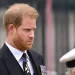 Prince Harry sought MI6-linked therapist for psychological well being assist, claims biographer – MARCA