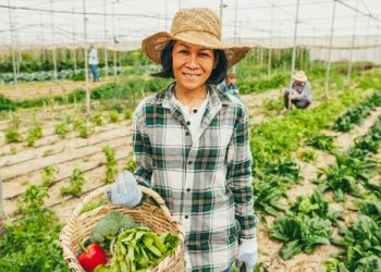 Concern of detention prevents some WA migrants from getting meals / Public Information Service