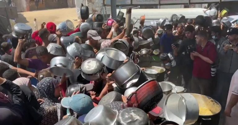 Meals support vehicles getting into Gaza amid starvation disaster