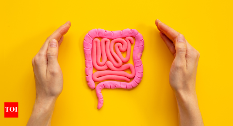 Intestine Microbiome and Its Function in Stopping Way of life Illnesses: The Forgotten Organ in Digestive Well being |