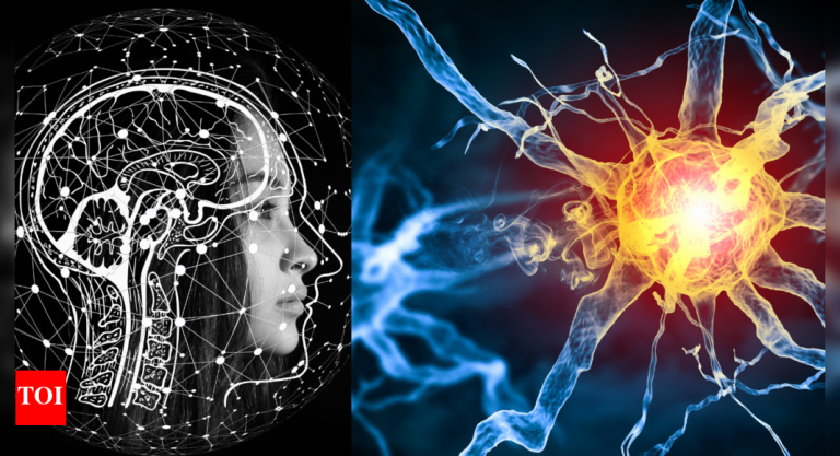 Need to be smarter than most individuals? 5 easy each day ideas that can assist us develop our mind cells