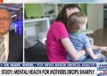 Moms say they’re combating their psychological well being in survey – Fox Information