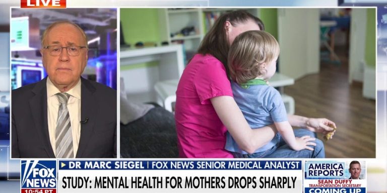 Moms say they’re combating their psychological well being in survey – Fox Information