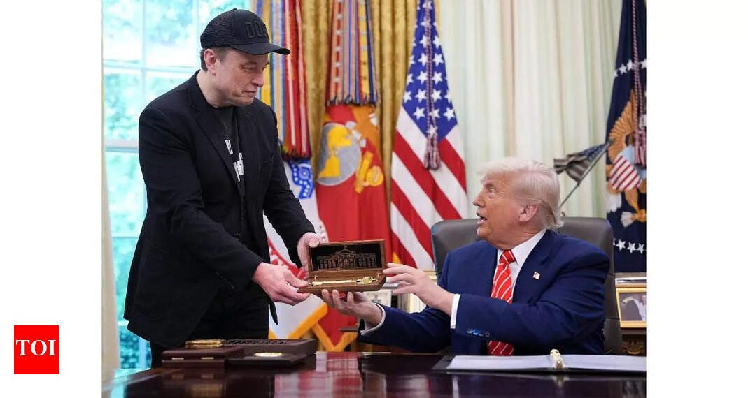 Elon Musk will get a particular present from Donald Trump who says he simply offers …