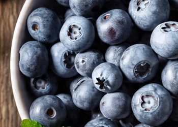 Are Blueberries Good Or Unhealthy For You?