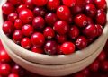 10 Stunning Well being Advantages Of Consuming Cranberries Every day