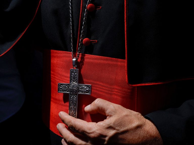 Cardinals are already put in within the Vatican to decide on Francisco’s successor on this planet’s most secret elections